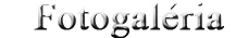 fotogaleria